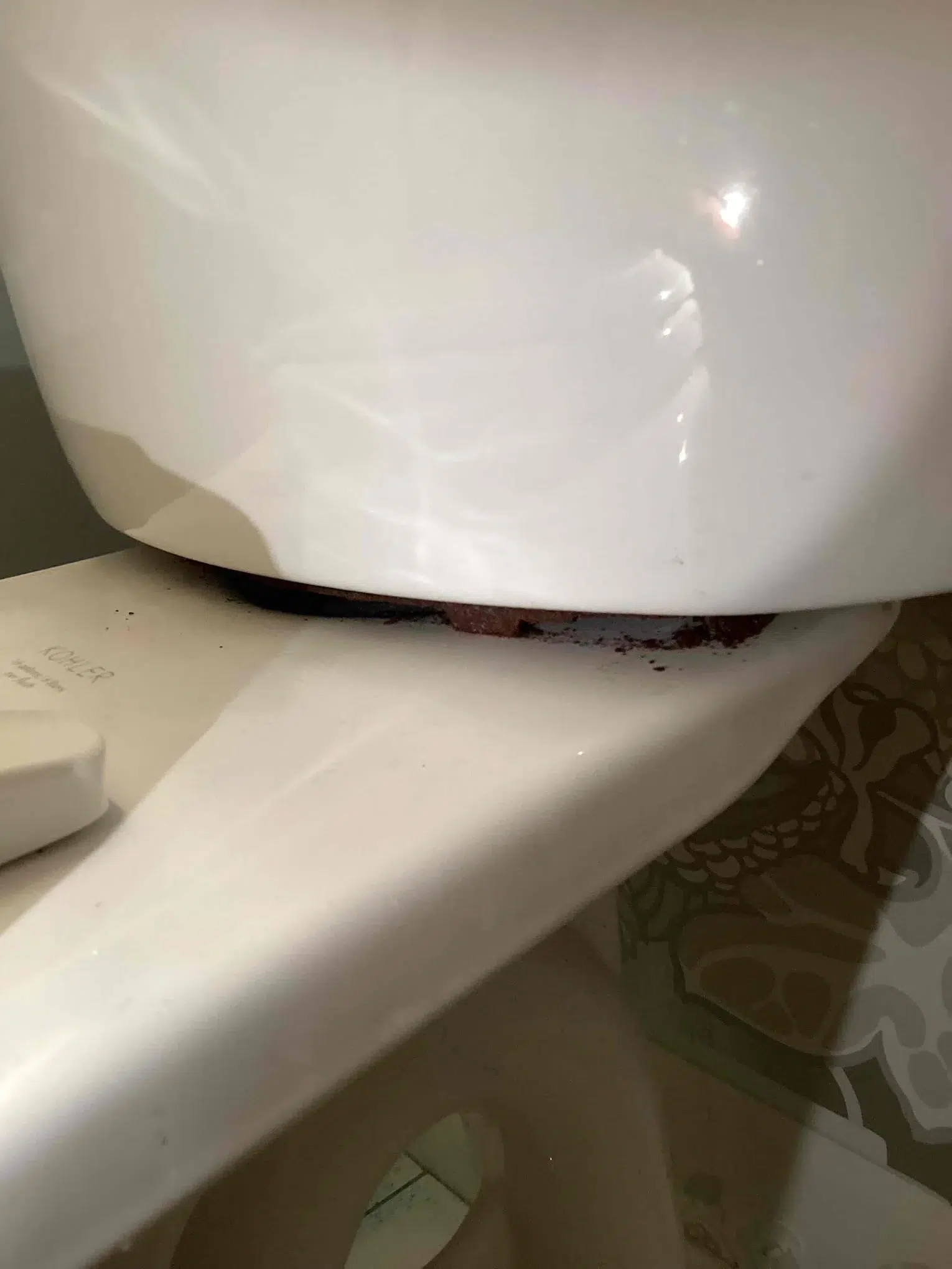 toilet repair