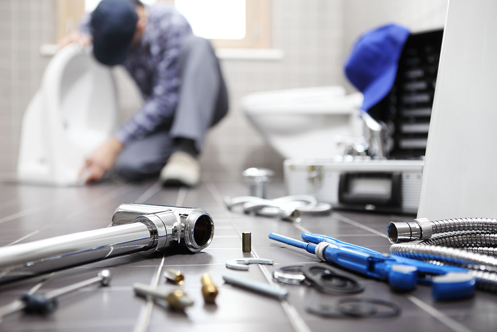 toilet repair