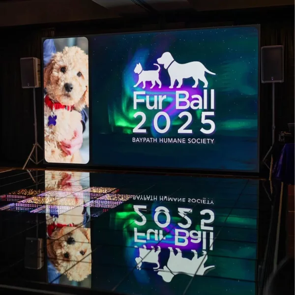 fur ball 2025